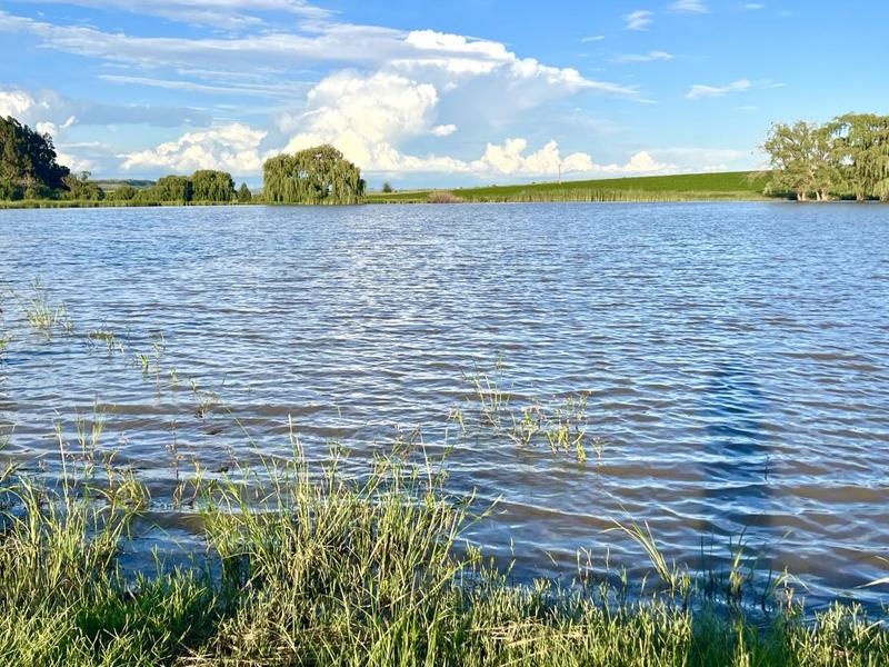0 Bedroom Property for Sale in Bethlehem Rural Free State